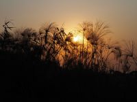 Sonnenuntergang am Kwando