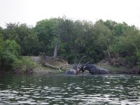 Bootsfahrt auf dem Sambesi
