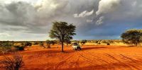 00018 Namibia - Kalahari - Nature Drive