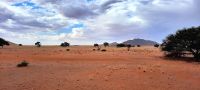 00107 Namibia - Unterwegs zur Sossusvlei Lodge 
