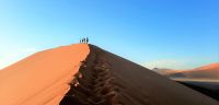00120 Namibia - Aufstieg zur Düne 45