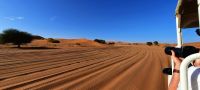 00122 Namibia - Spuren im Sand
