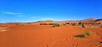 00125 Namibia - Namibwüste