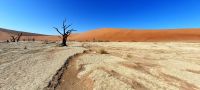 00127 Namibia - Dead Vlei