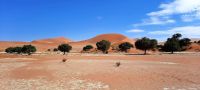 00135 Namibia - das Sossusvlei