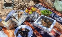 00220 Namibia - Picknick an der Spitzkoppe