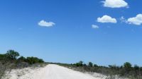 Namibia - Unterwegs im Etosha