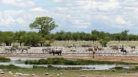 Namibia - Unterwegs im Etosha
