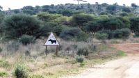 Namibia - Otjiwa Safari Lodge - Nature Drive
