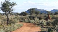 Namibia - Otjiwa Safari Lodge - Nature Drive
