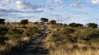 Namibia - Otjiwa Safari Lodge - Nature Drive