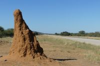 auf dem Weg nach Etosha
