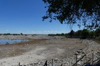 Etosha, Wasserloch Rastlager Okaukuejo 