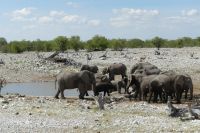 im Etosha NP