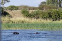 Bootsfahrt auf dem Okavango