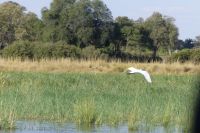 Bootsfahrt auf dem Okavango
