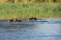 Bootsfahrt auf dem Okavango