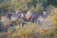 Bootsfahrt auf dem Okavango