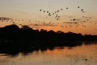 Bootsfahrt auf dem Okavango