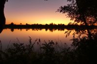 Morgendämmerung am Okavango, Ndhovu Safari Lodge