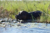 Bootsfahrt auf dem Kwando