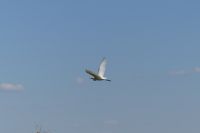 Bootsfahrt auf dem Kwando