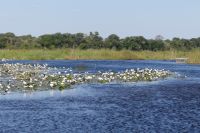 Bootsfahrt auf dem Kwando