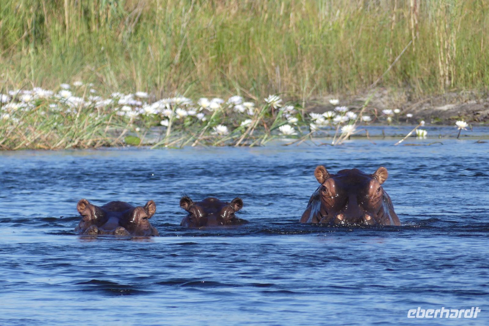 Bootsfahrt auf dem Kwando