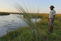 Bootsfahrt auf dem Kwando, Boot fachmännisch am Grasbündel vertaut