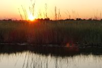 Bootsfahrt auf dem Kwando