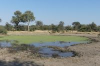 Pirschfahrt im Bwabwata NP