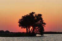 Bootstour auf dem Chobe mit Sonnenuntergang
