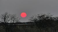 Namibia - Etosha Nationalpark - Sonnenuntergang