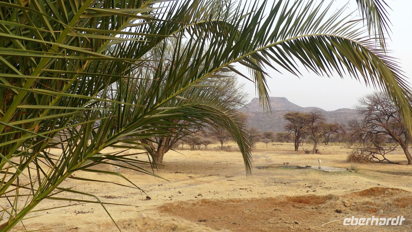 Namibia - Gabus Game Ranch bei Otavi