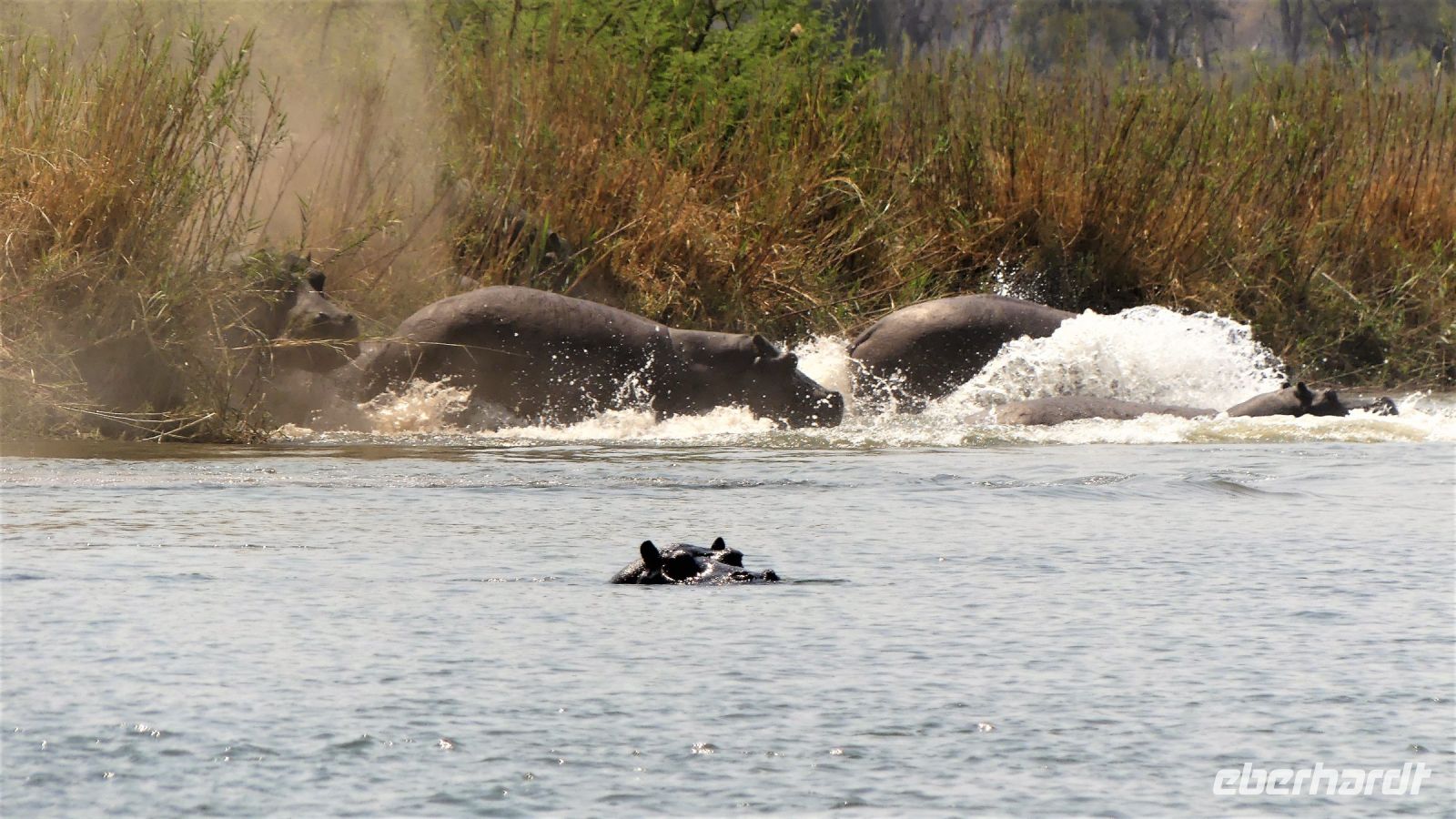 Namibia - Erlebnisse am Okavango