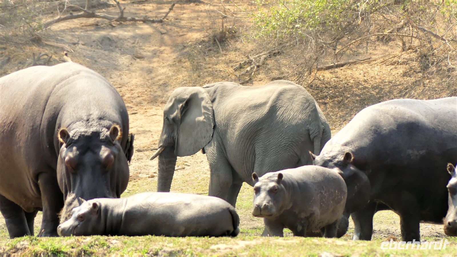 Namibia - Erlebnisse am Okavango 