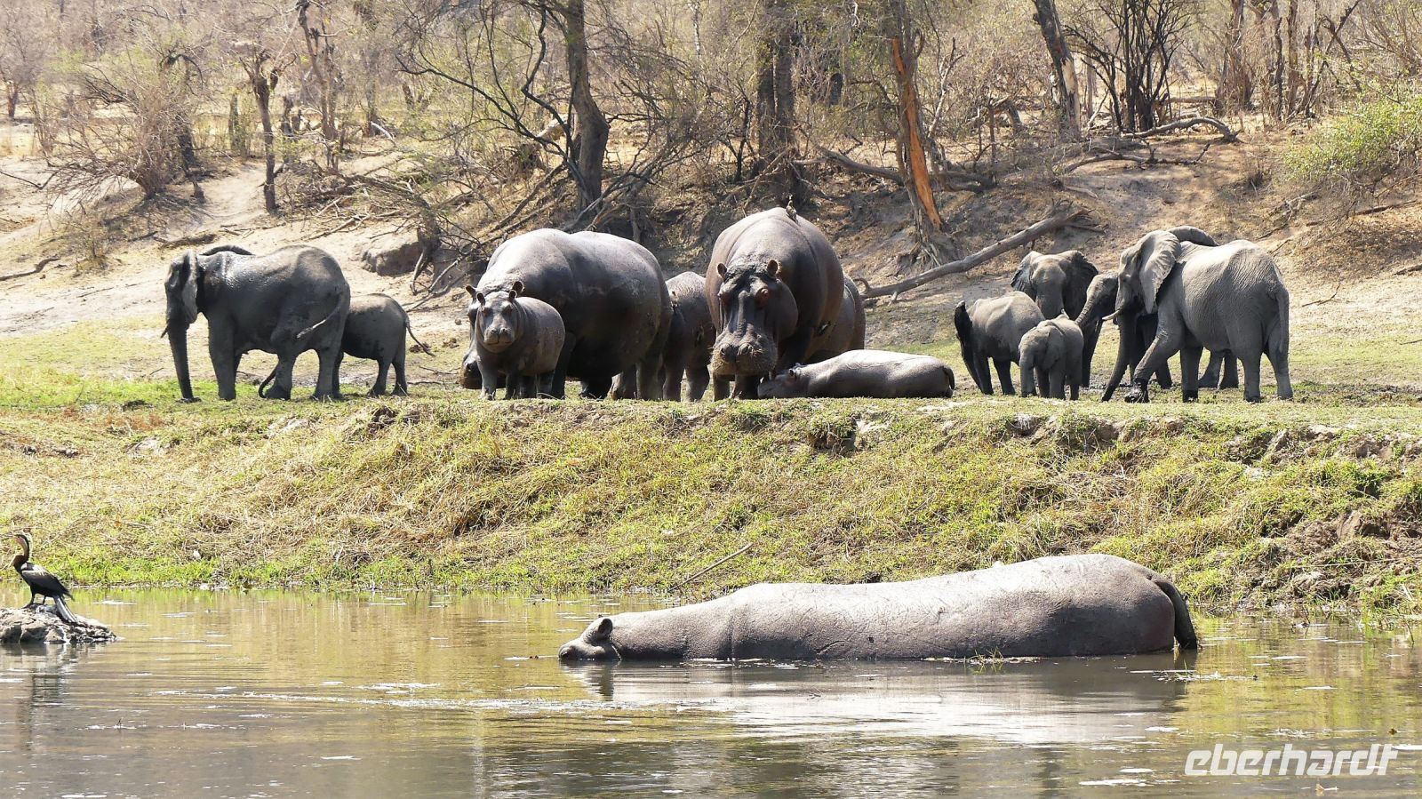Namibia - Erlebnisse am Okavango 