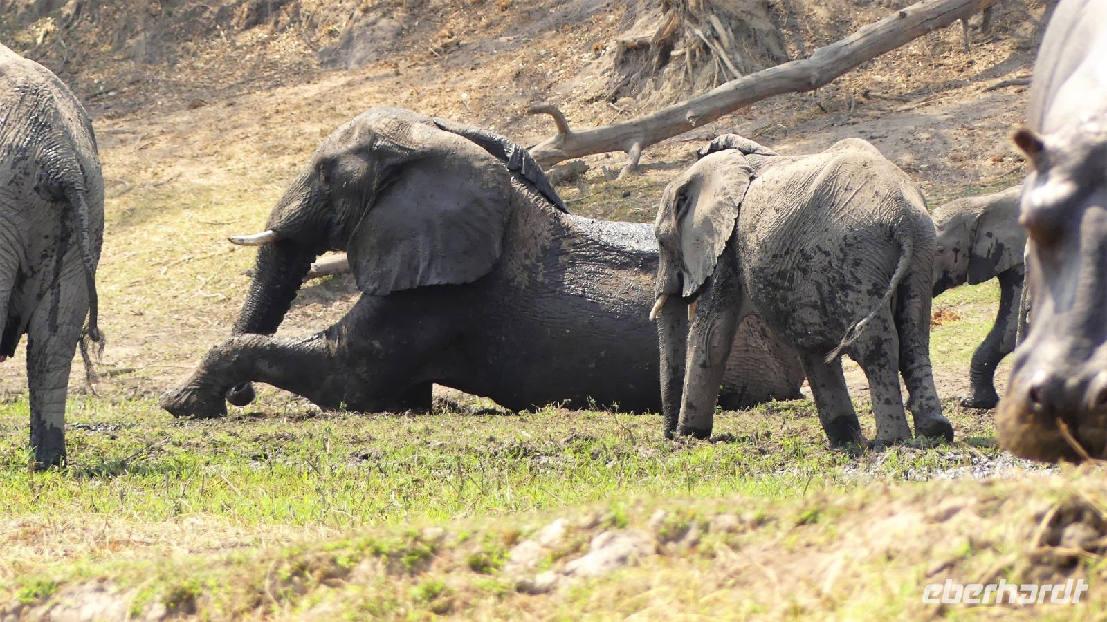 Namibia - Erlebnisse am Okavango