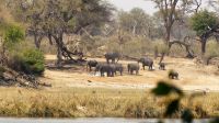 Namibia - Ndhovu Lodge am Okavango - Ausblick von der Terrasse