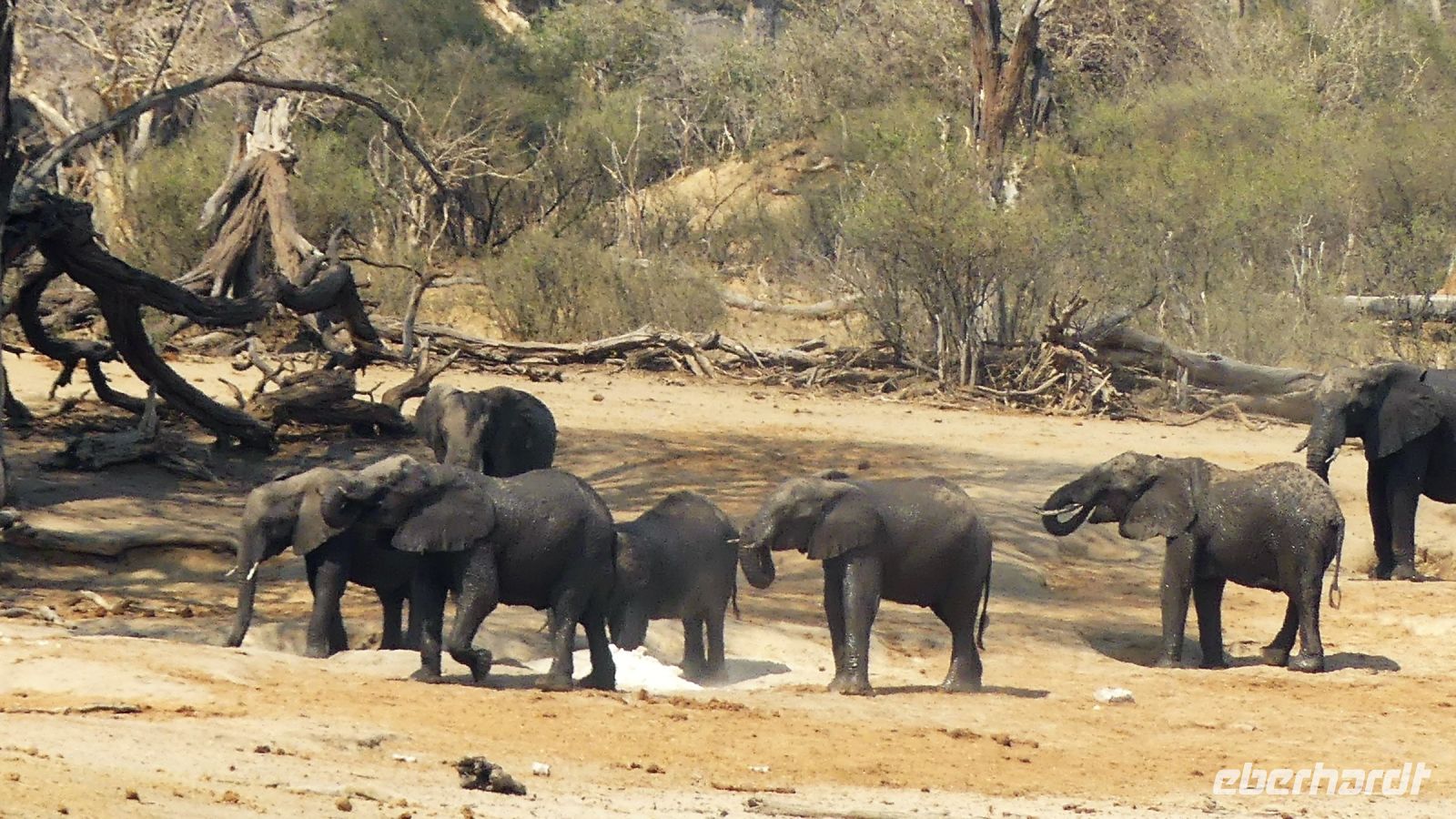 Namibia - Ndhovu Lodge am Okavango - Ausblick von der Terrasse