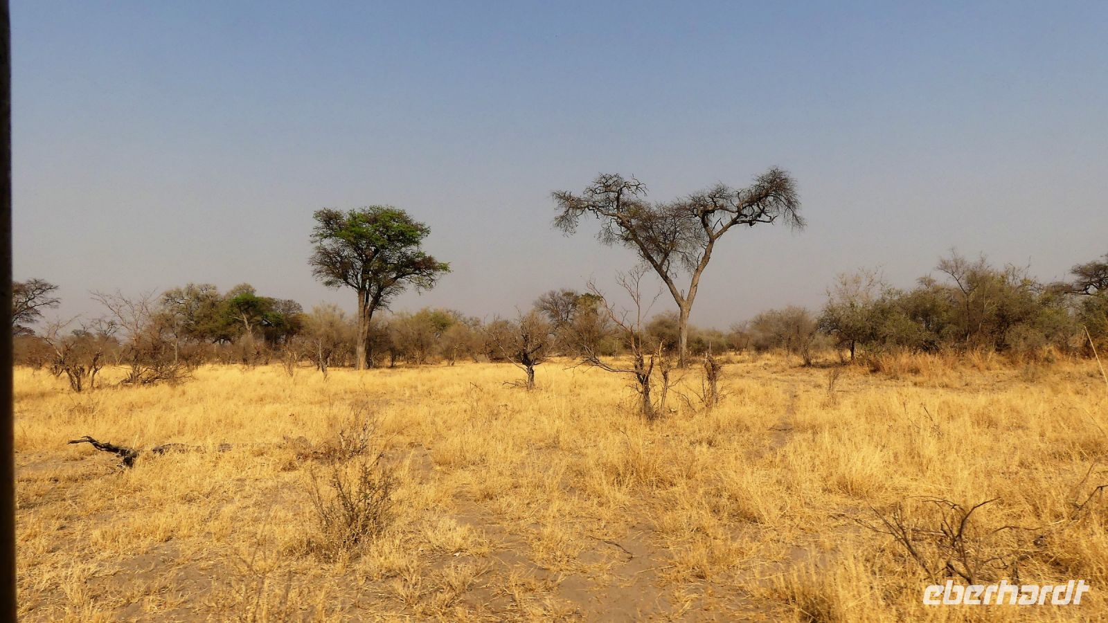 Namibia - Pirschfahrt im Bwabwata Nationalpark 