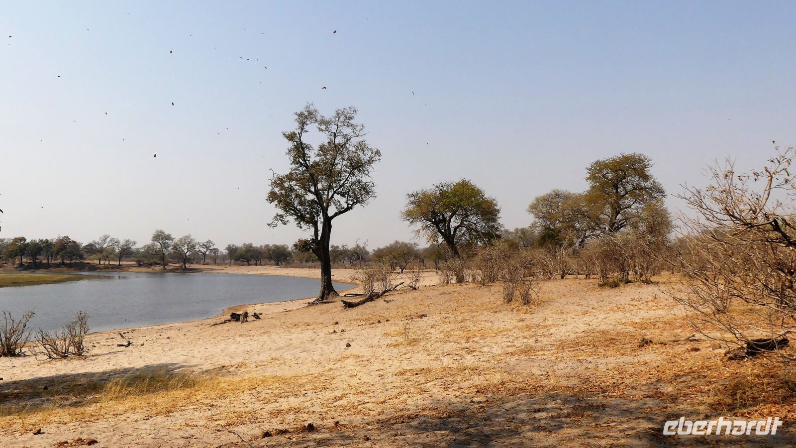 Namibia - Pirschfahrt im Bwabwata Nationalpark - Horseshoe