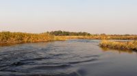 Namibia - Bootsfahrt auf dem Kwando