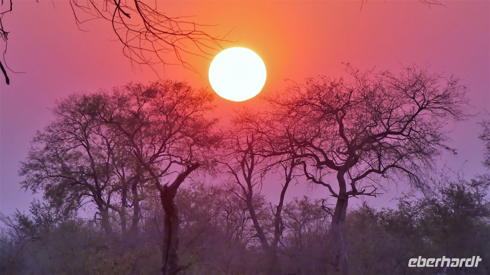 Namibia - Bootsfahrt auf dem Kwando - Sonnenuntergang