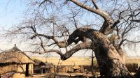 Namibia - Namushasha Culture Village