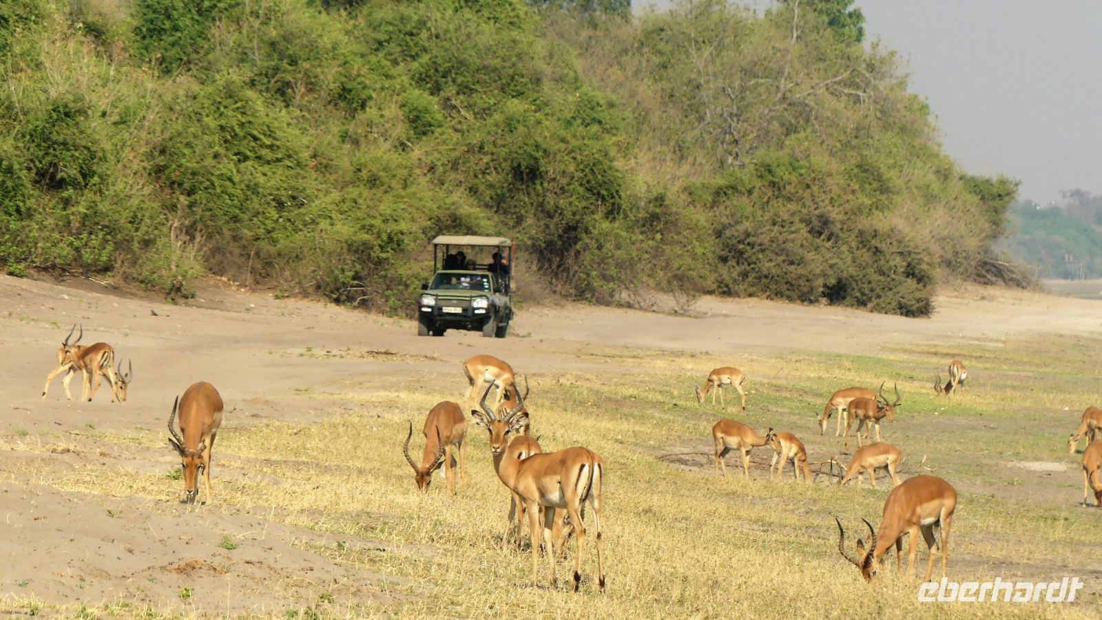 Botswana - Pirschfahrt im Chobe Nationalpark
