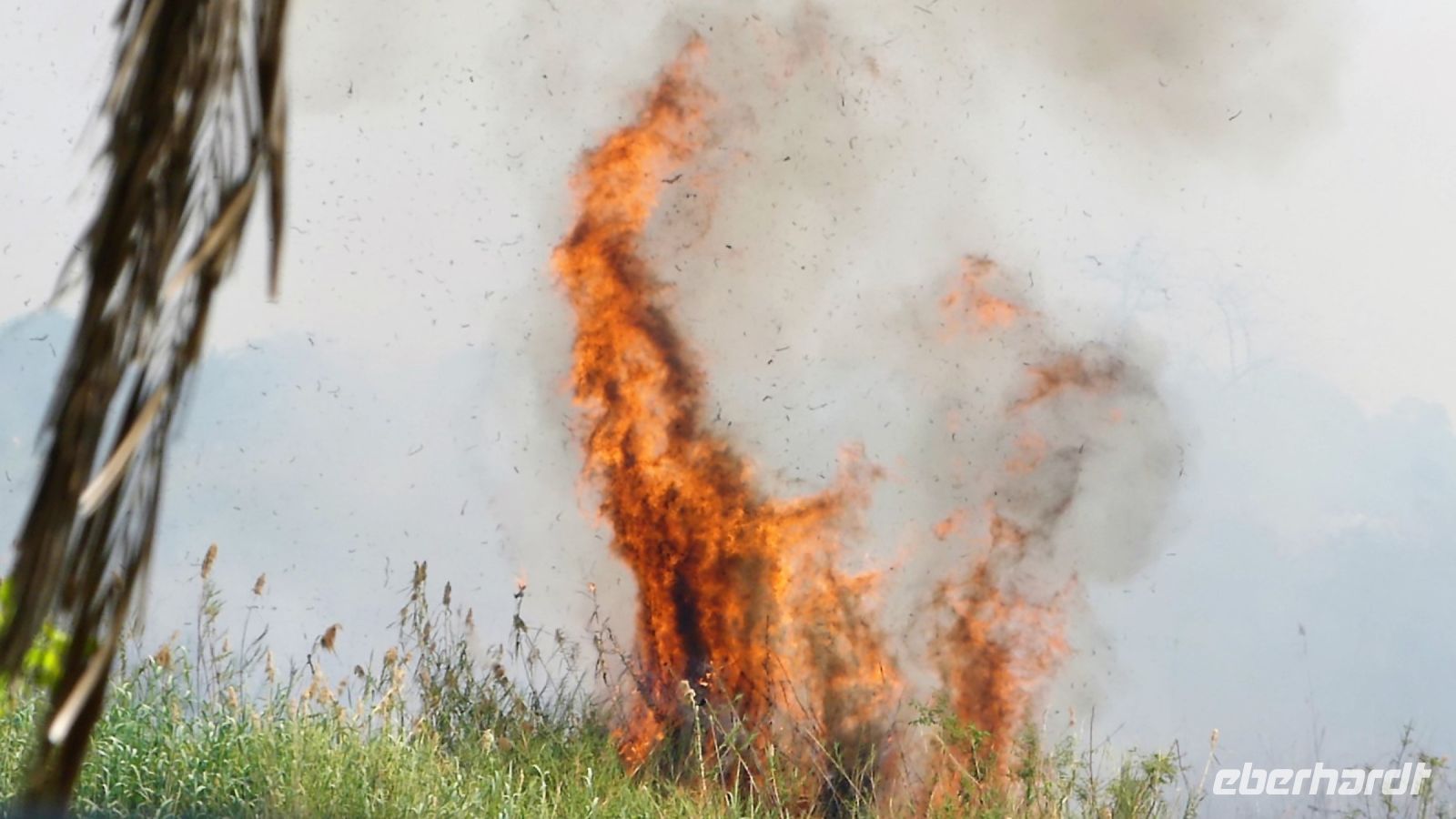 Botswana - Buschfeuer am Chobe