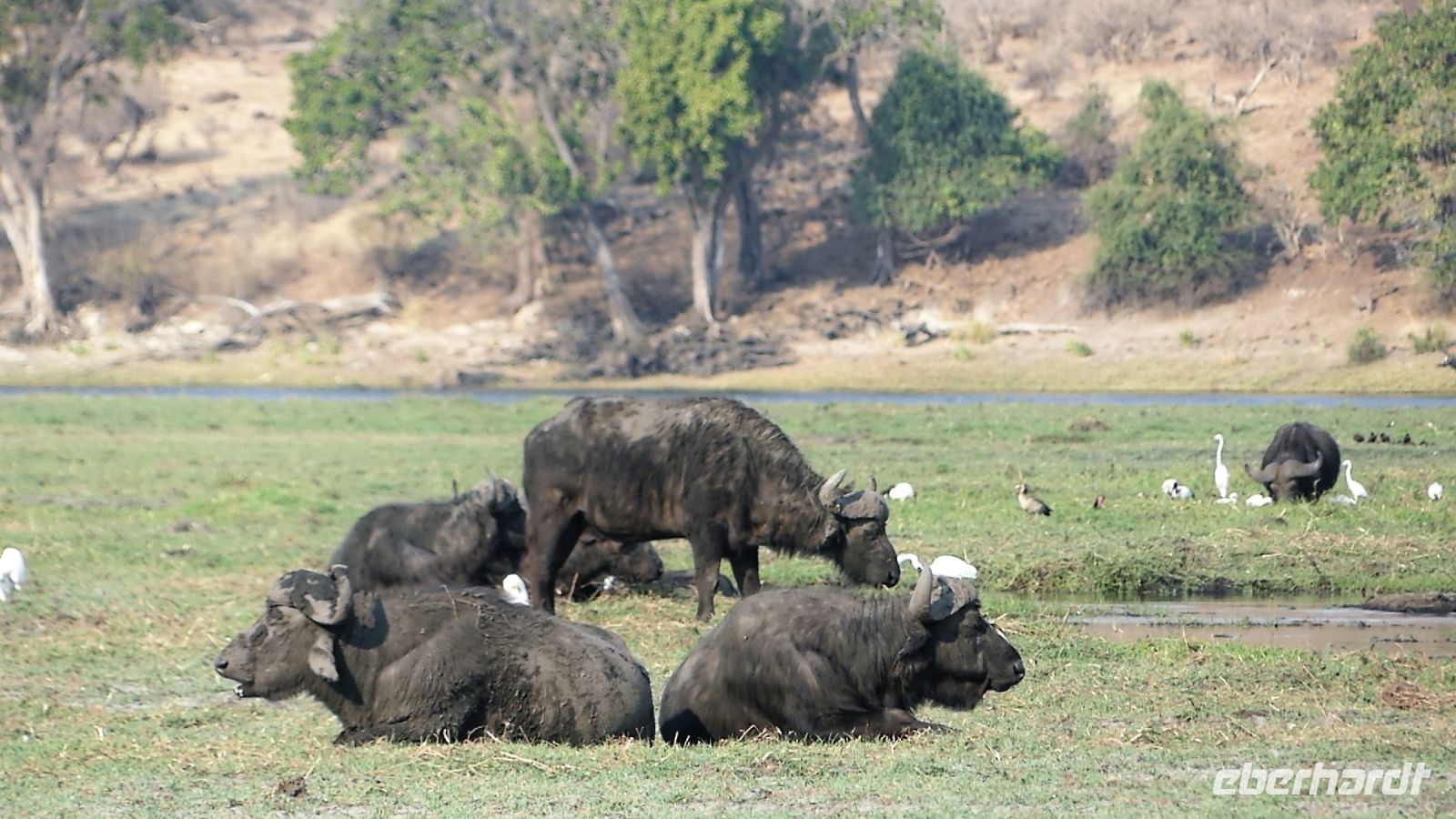 Botswana - Bootsfahrt auf dem Chobe
