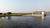 Botswana - Bootsfahrt auf dem Chobe