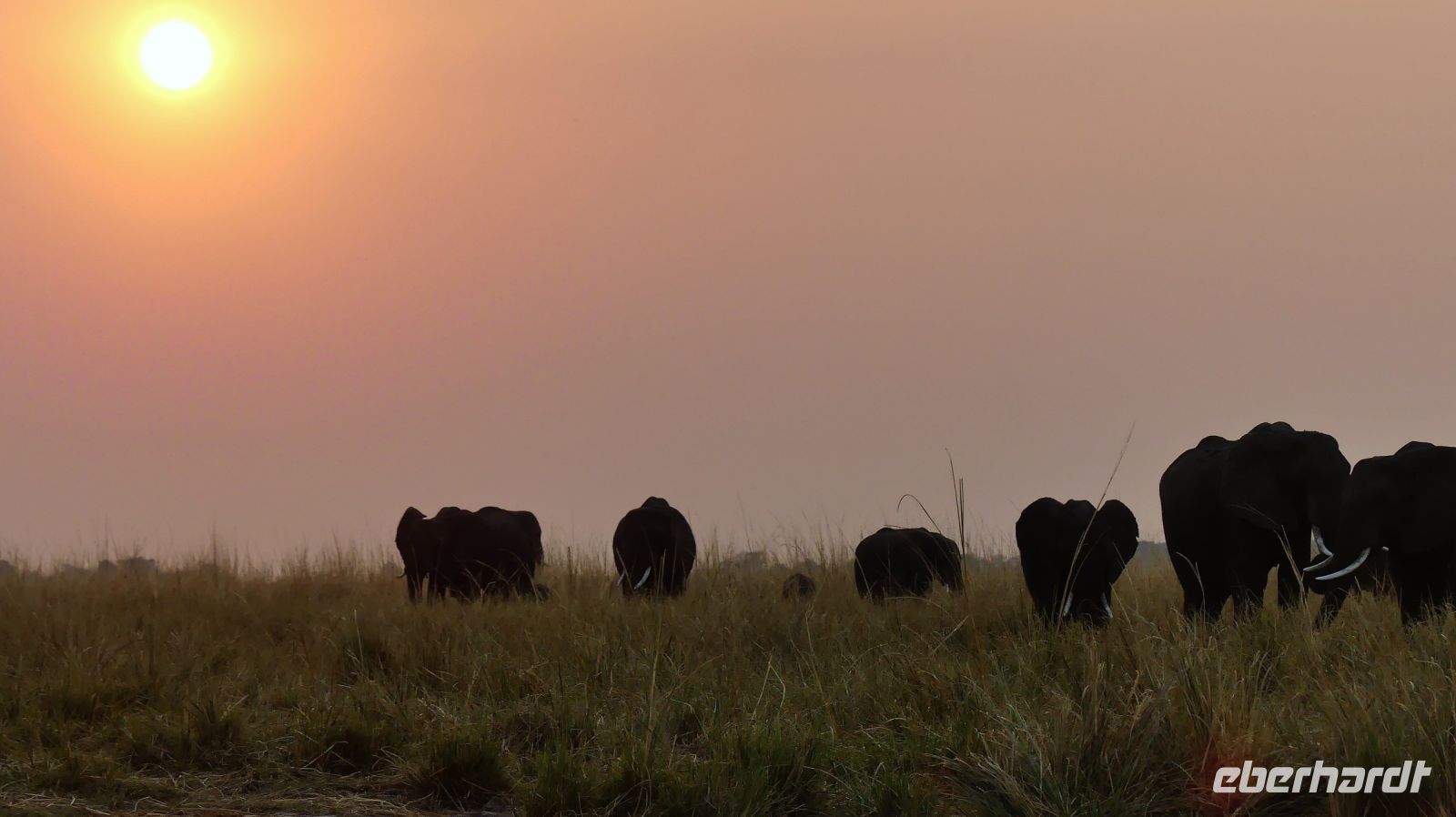 Botswana - Bootsfahrt auf dem Chobe - Sonnenuntergang